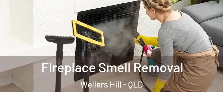 Fireplace Smell Removal Wellers Hill - QLD