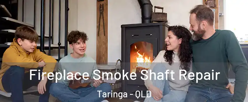 Fireplace Smoke Shaft Repair Taringa - QLD