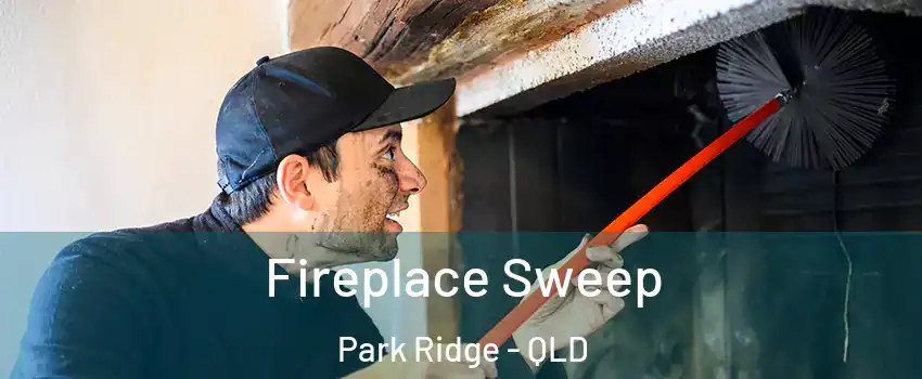 Fireplace Sweep Park Ridge - QLD