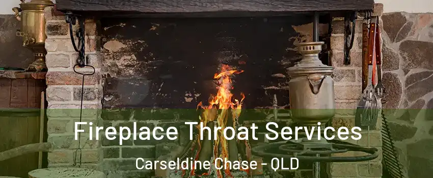 Fireplace Throat Services Carseldine Chase - QLD