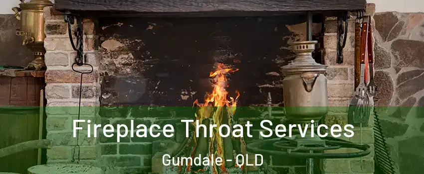 Fireplace Throat Services Gumdale - QLD