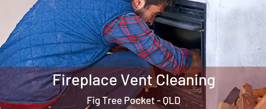 Fireplace Vent Cleaning Fig Tree Pocket - QLD