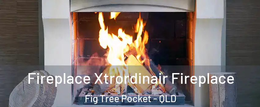 Fireplace Xtrordinair Fireplace Fig Tree Pocket - QLD