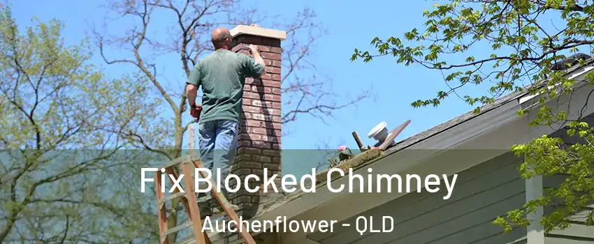 Fix Blocked Chimney Auchenflower - QLD