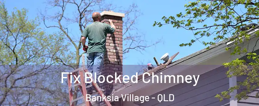 Fix Blocked Chimney Banksia Village - QLD