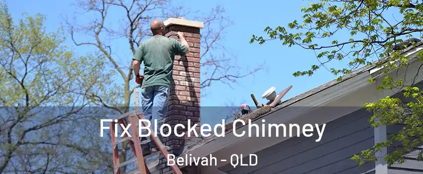 Fix Blocked Chimney Belivah - QLD
