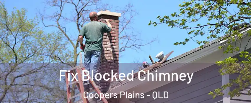Fix Blocked Chimney Coopers Plains - QLD