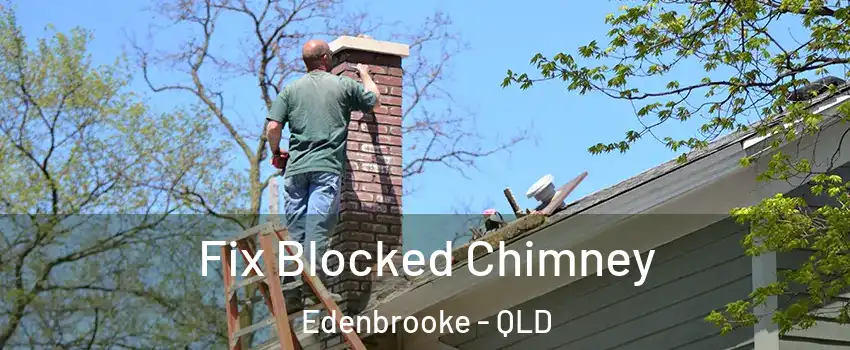 Fix Blocked Chimney Edenbrooke - QLD