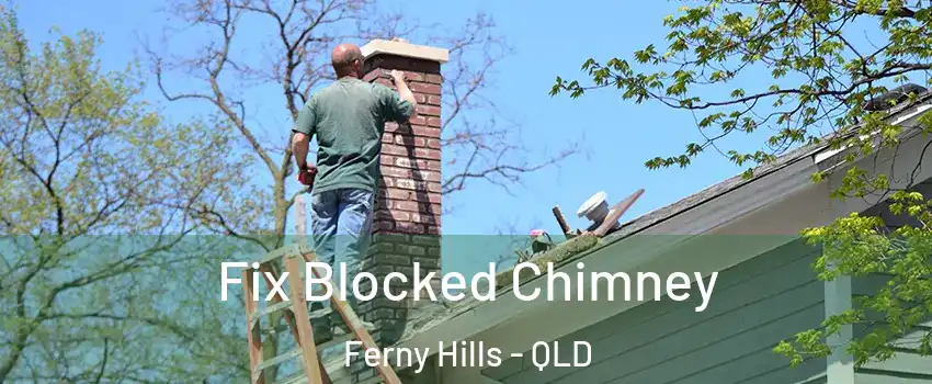 Fix Blocked Chimney Ferny Hills - QLD