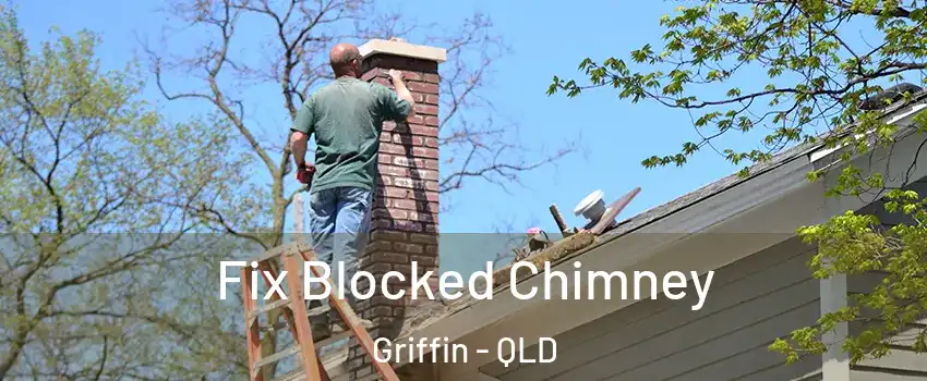 Fix Blocked Chimney Griffin - QLD