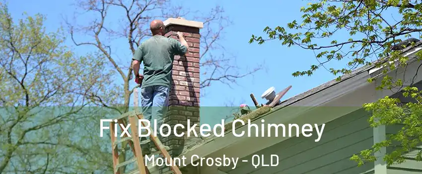 Fix Blocked Chimney Mount Crosby - QLD