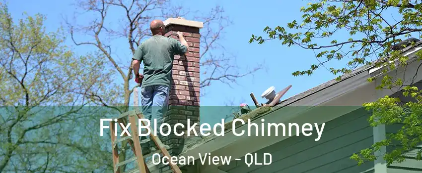 Fix Blocked Chimney Ocean View - QLD