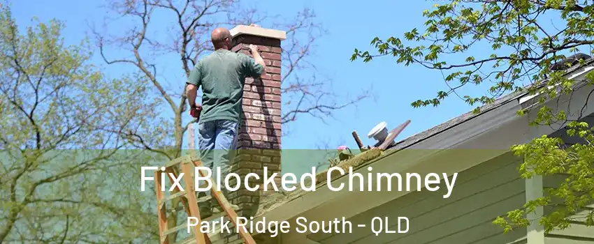 Fix Blocked Chimney Park Ridge South - QLD