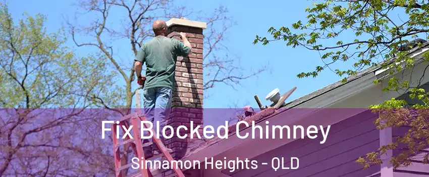 Fix Blocked Chimney Sinnamon Heights - QLD