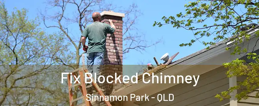 Fix Blocked Chimney Sinnamon Park - QLD