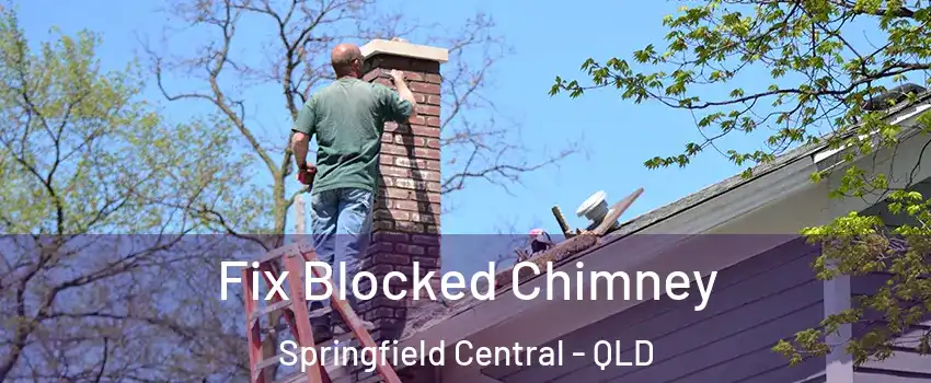 Fix Blocked Chimney Springfield Central - QLD
