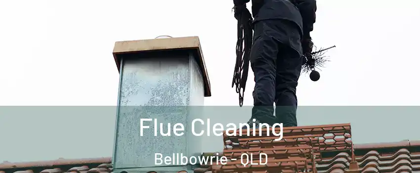 Flue Cleaning Bellbowrie - QLD