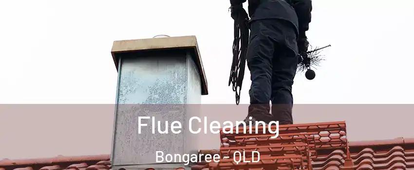 Flue Cleaning Bongaree - QLD