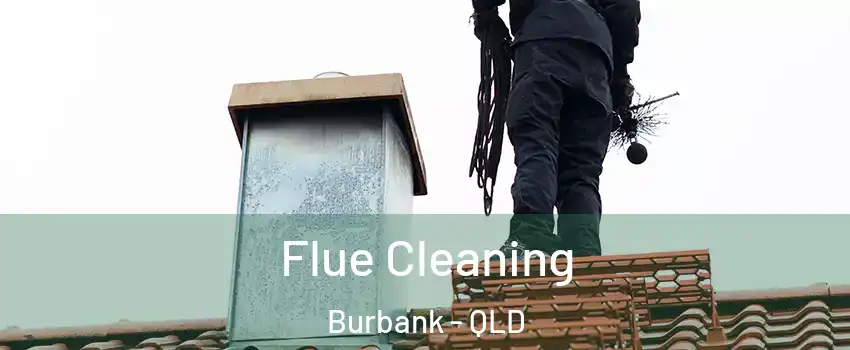 Flue Cleaning Burbank - QLD