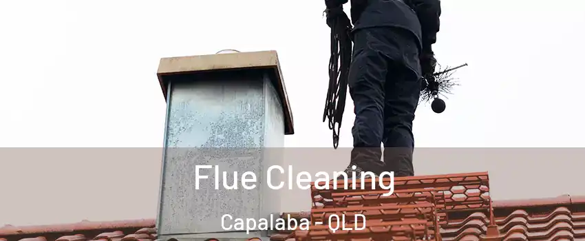 Flue Cleaning Capalaba - QLD