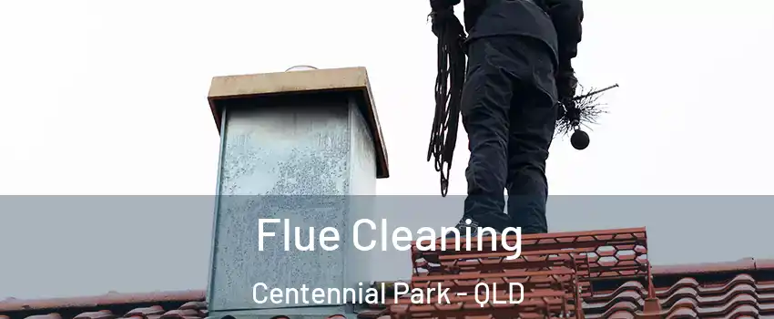 Flue Cleaning Centennial Park - QLD