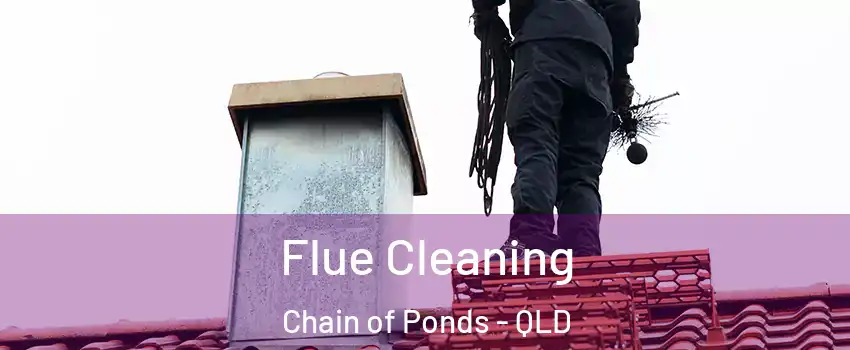 Flue Cleaning Chain of Ponds - QLD