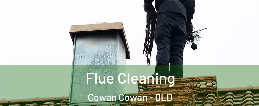 Flue Cleaning Cowan Cowan - QLD