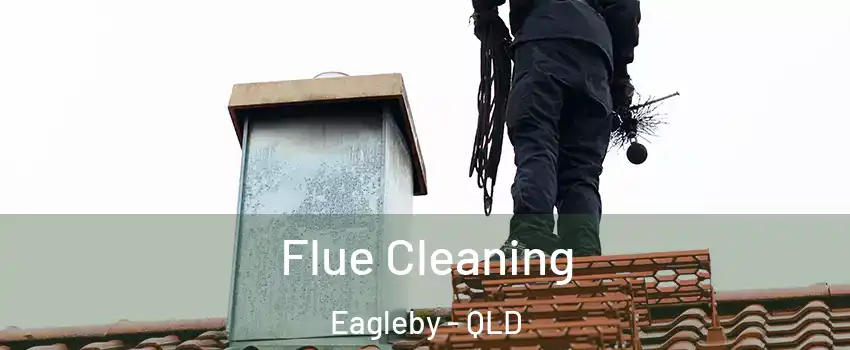 Flue Cleaning Eagleby - QLD
