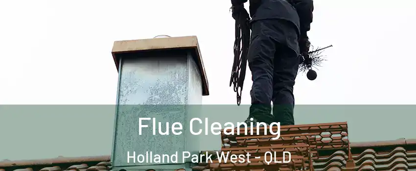 Flue Cleaning Holland Park West - QLD