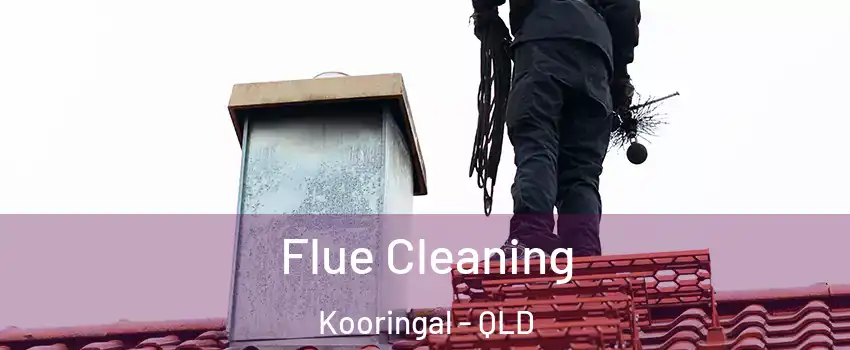 Flue Cleaning Kooringal - QLD