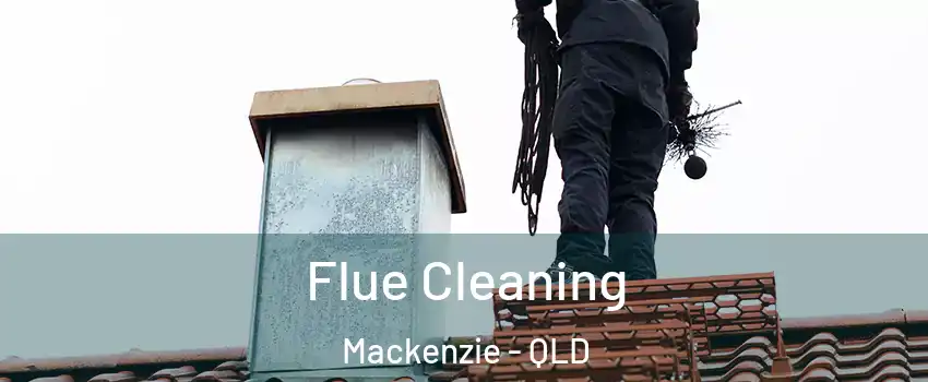 Flue Cleaning Mackenzie - QLD