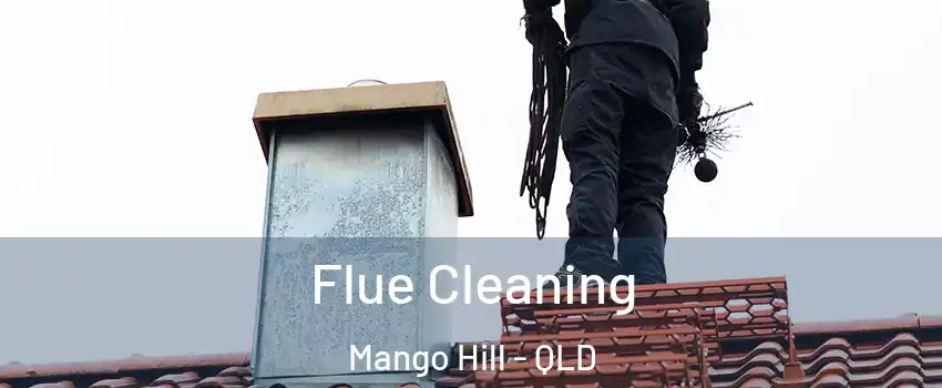Flue Cleaning Mango Hill - QLD