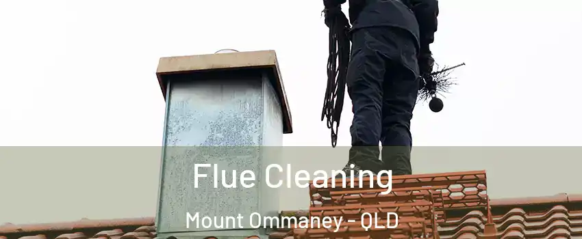 Flue Cleaning Mount Ommaney - QLD