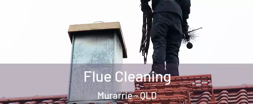 Flue Cleaning Murarrie - QLD