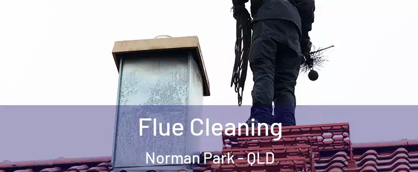 Flue Cleaning Norman Park - QLD