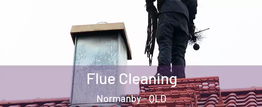 Flue Cleaning Normanby - QLD