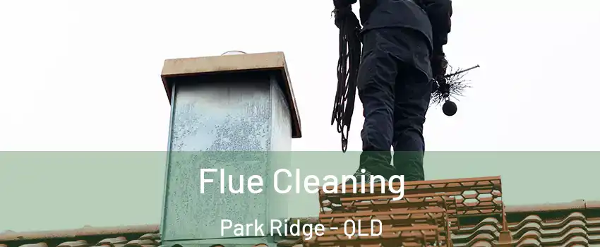 Flue Cleaning Park Ridge - QLD
