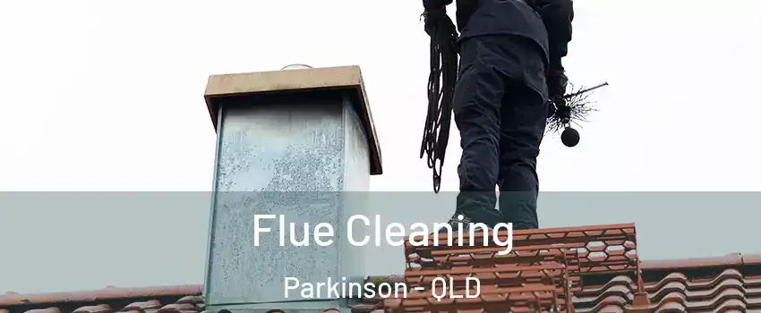Flue Cleaning Parkinson - QLD