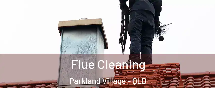 Flue Cleaning Parkland Village - QLD