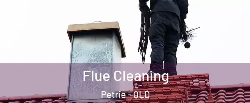 Flue Cleaning Petrie - QLD