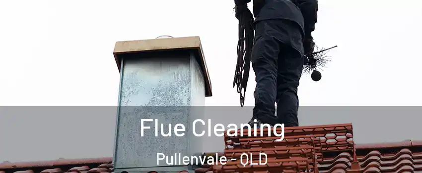 Flue Cleaning Pullenvale - QLD