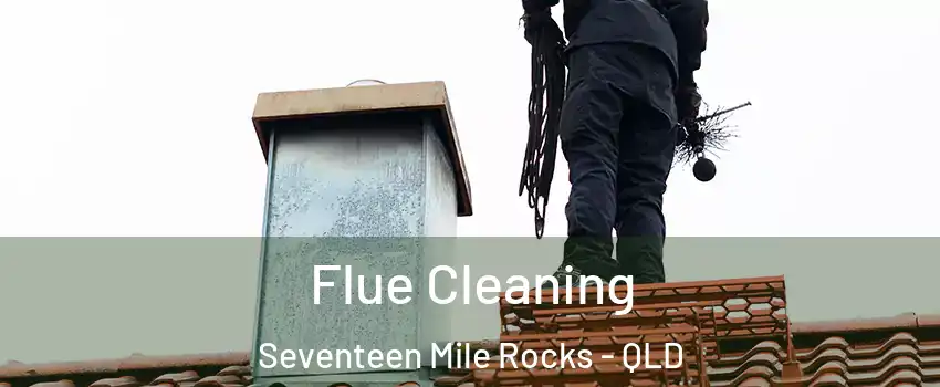 Flue Cleaning Seventeen Mile Rocks - QLD