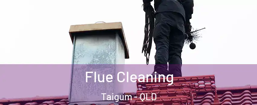 Flue Cleaning Taigum - QLD