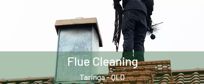 Flue Cleaning Taringa - QLD
