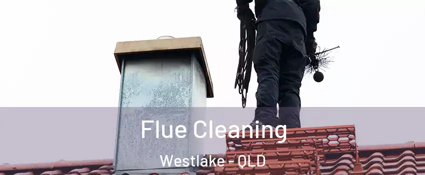 Flue Cleaning Westlake - QLD