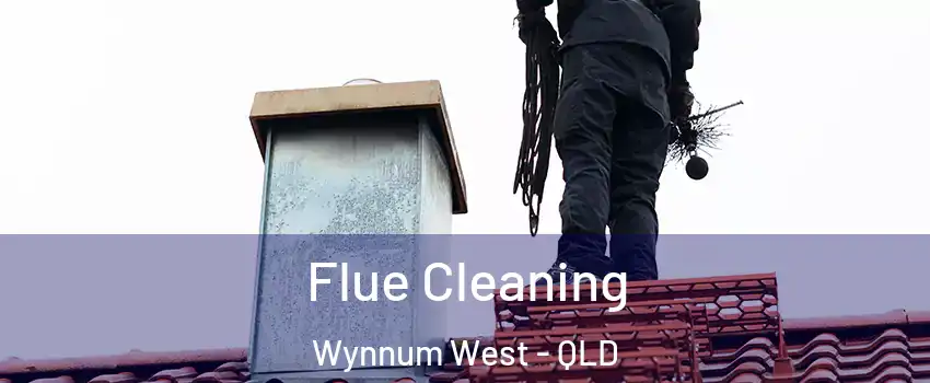 Flue Cleaning Wynnum West - QLD