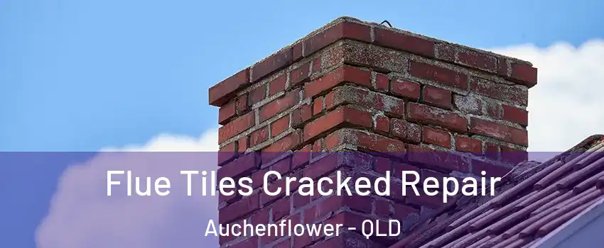 Flue Tiles Cracked Repair Auchenflower - QLD