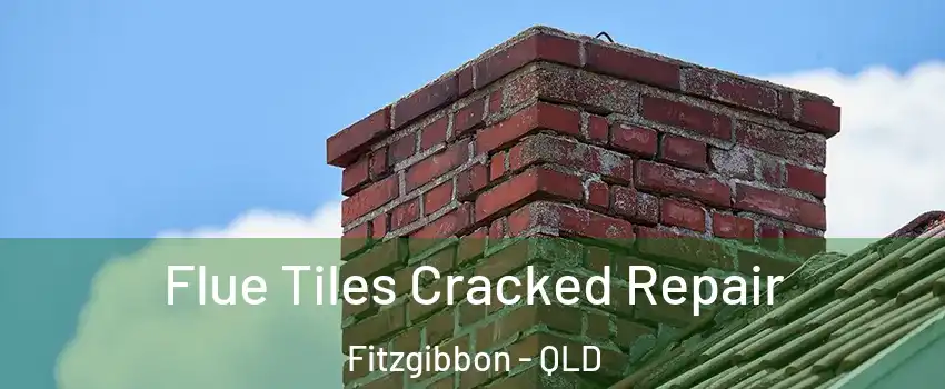 Flue Tiles Cracked Repair Fitzgibbon - QLD