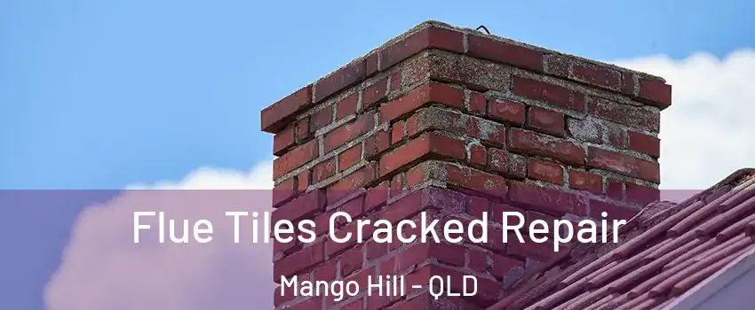 Flue Tiles Cracked Repair Mango Hill - QLD