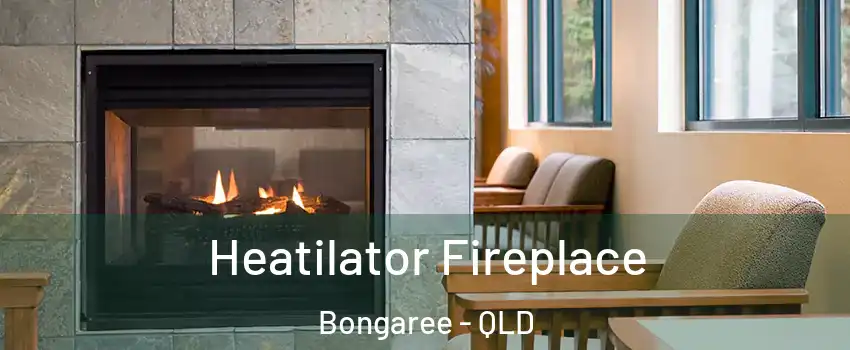 Heatilator Fireplace Bongaree - QLD